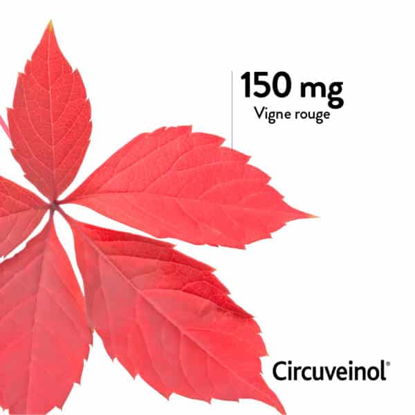 Circuveinol® Blood circulation