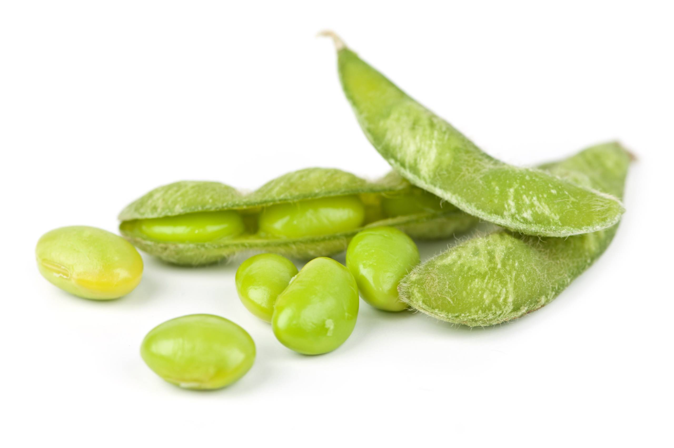 4710505 - edamame soy beans shelled and with pods
