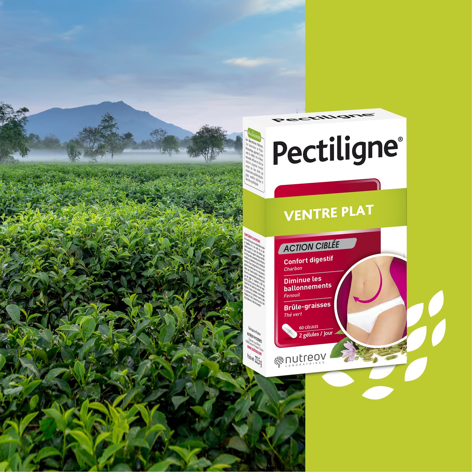 Pectiligne® Flat stomach