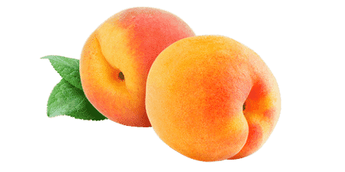 Abricot