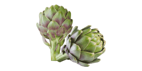 Artichoke