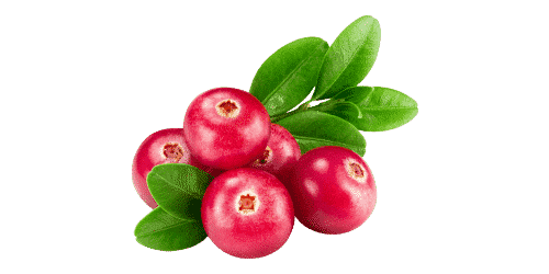 Cranberry