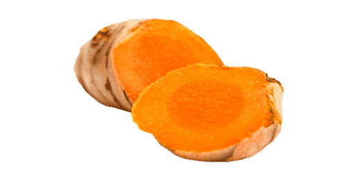 Curcuma