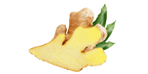 Gingembre