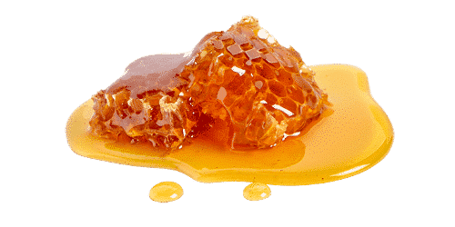 Hive products